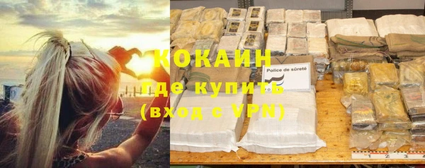 прущие грибы Богданович